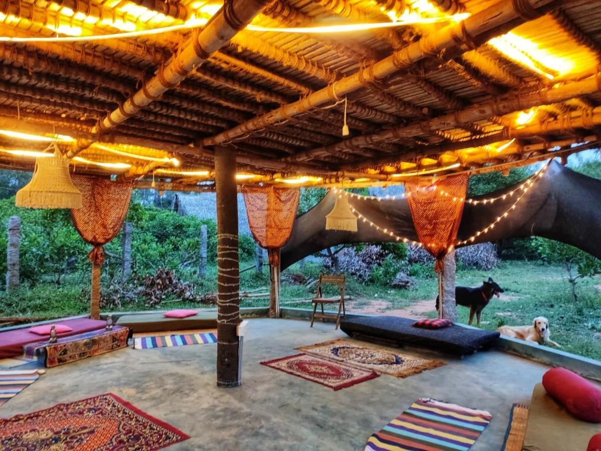 Beyond Community Apartment Auroville Bagian luar foto