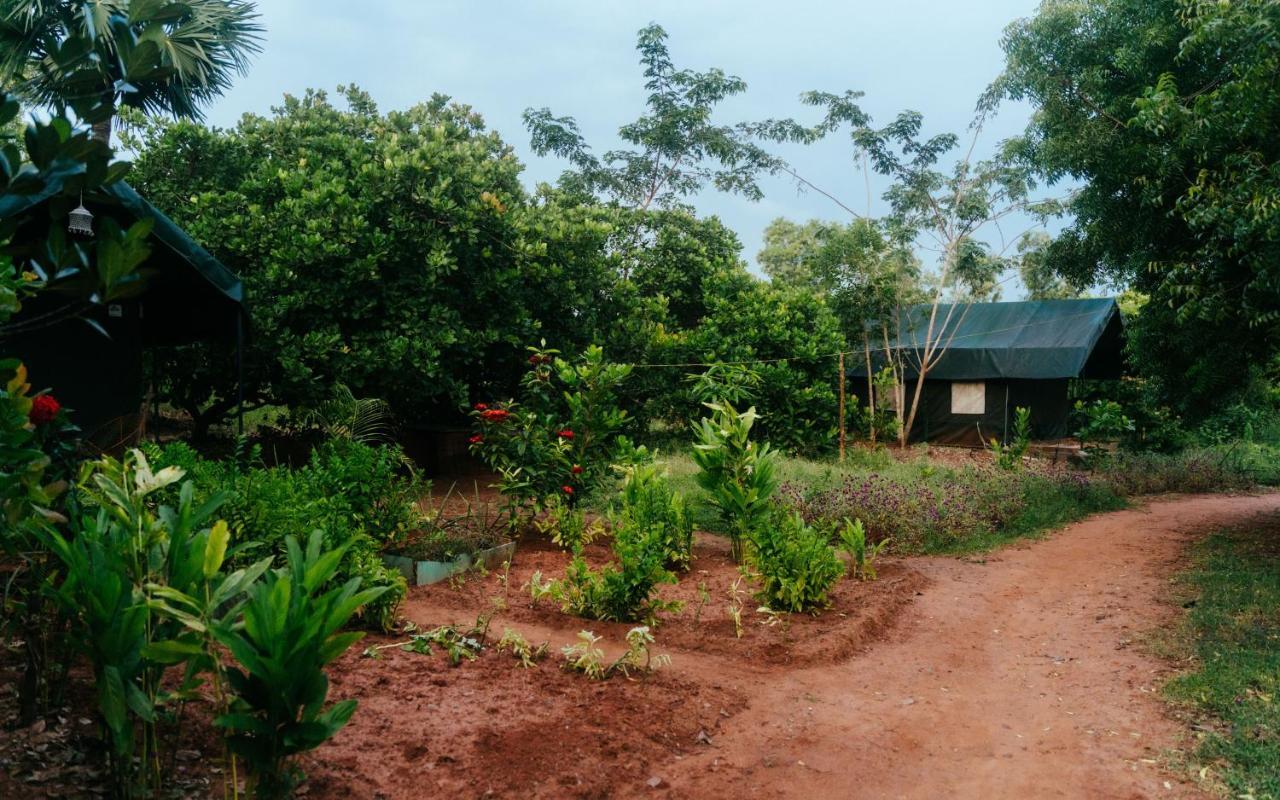 Beyond Community Apartment Auroville Bagian luar foto